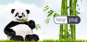 Optimering af billeder til WordPress